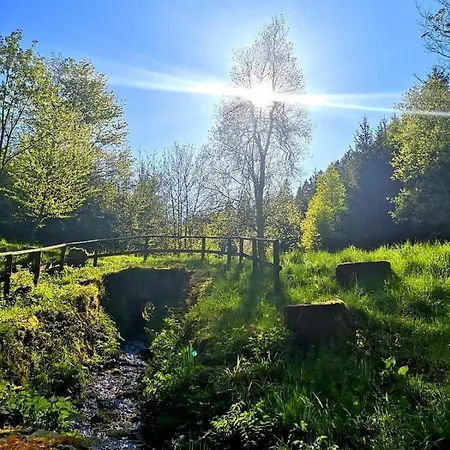 Haus Elpe Naehe Meschede Winterberg בית נופש *