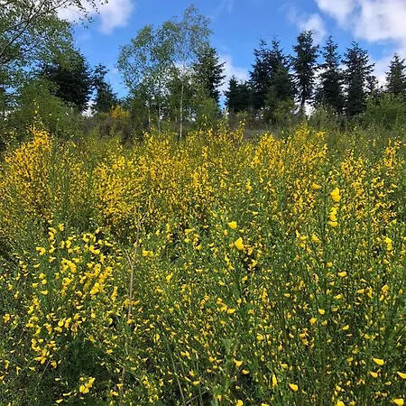 Haus Elpe Naehe Meschede Winterberg Olsberg