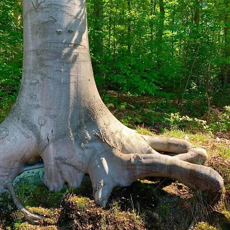 Haus Elpe Naehe Meschede Winterberg בית נופש