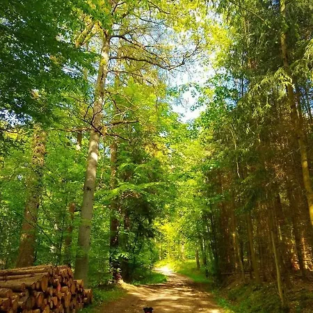 Haus Elpe Naehe Meschede Winterberg בית נופש *