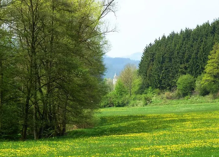 Haus Elpe Naehe Meschede Winterberg