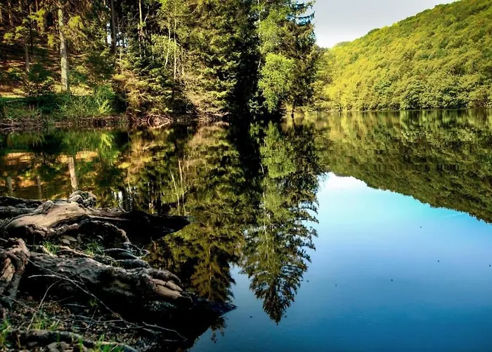 Hébergement de vacances Haus Elpe Naehe Meschede Winterberg