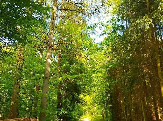 Haus Elpe Naehe Meschede Winterberg Дом отдыха *
